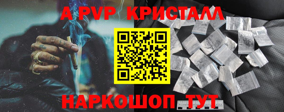 Альфа ПВП СК Новоалександровск