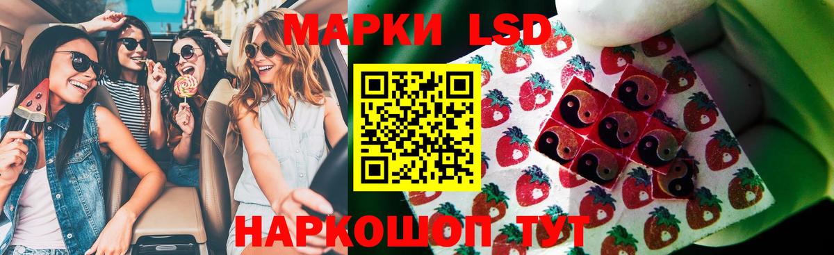 Лсд 25 экстази  LSD-25 экстази кислота  Новоалександровск  Вход с VPN  Лсд 25 экстази кислота 