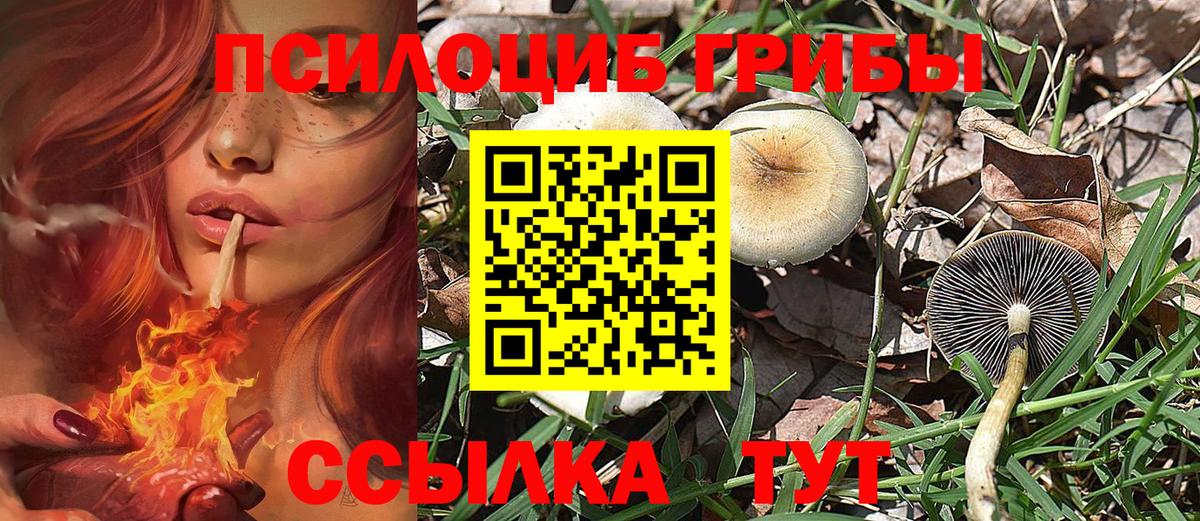 Галлюциногенные грибы мухоморы  Вход с VPN  где найти   Новоалександровск 