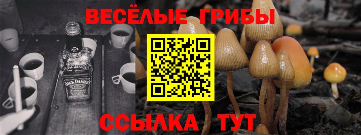 Гашиш Новоалександровск